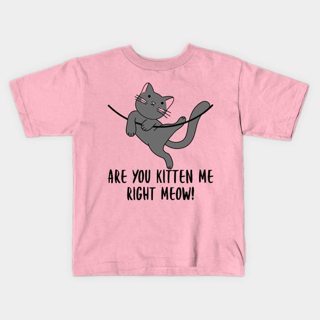 Are You Kitten Me Right Meow Kids T-Shirt by PorcupineTees